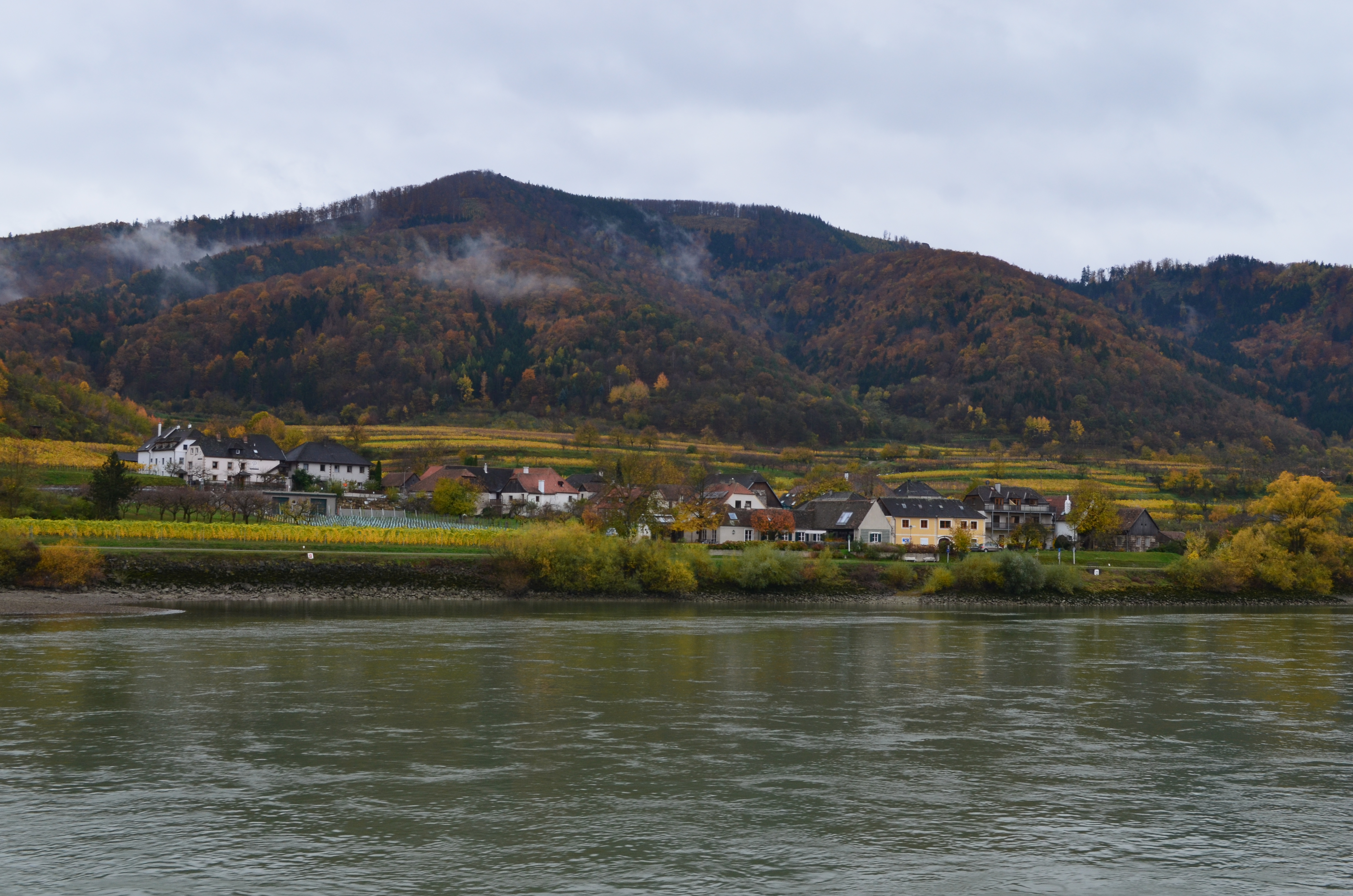 ./2017/19 - Viking Lif/03 - Melk, Austria/DSC_0842.JPG